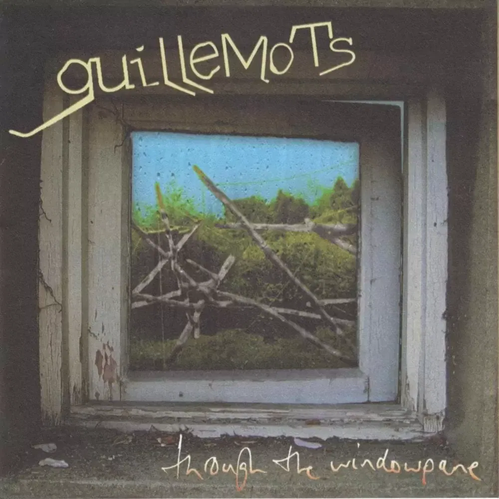 Guillemots Through the Windowpane
