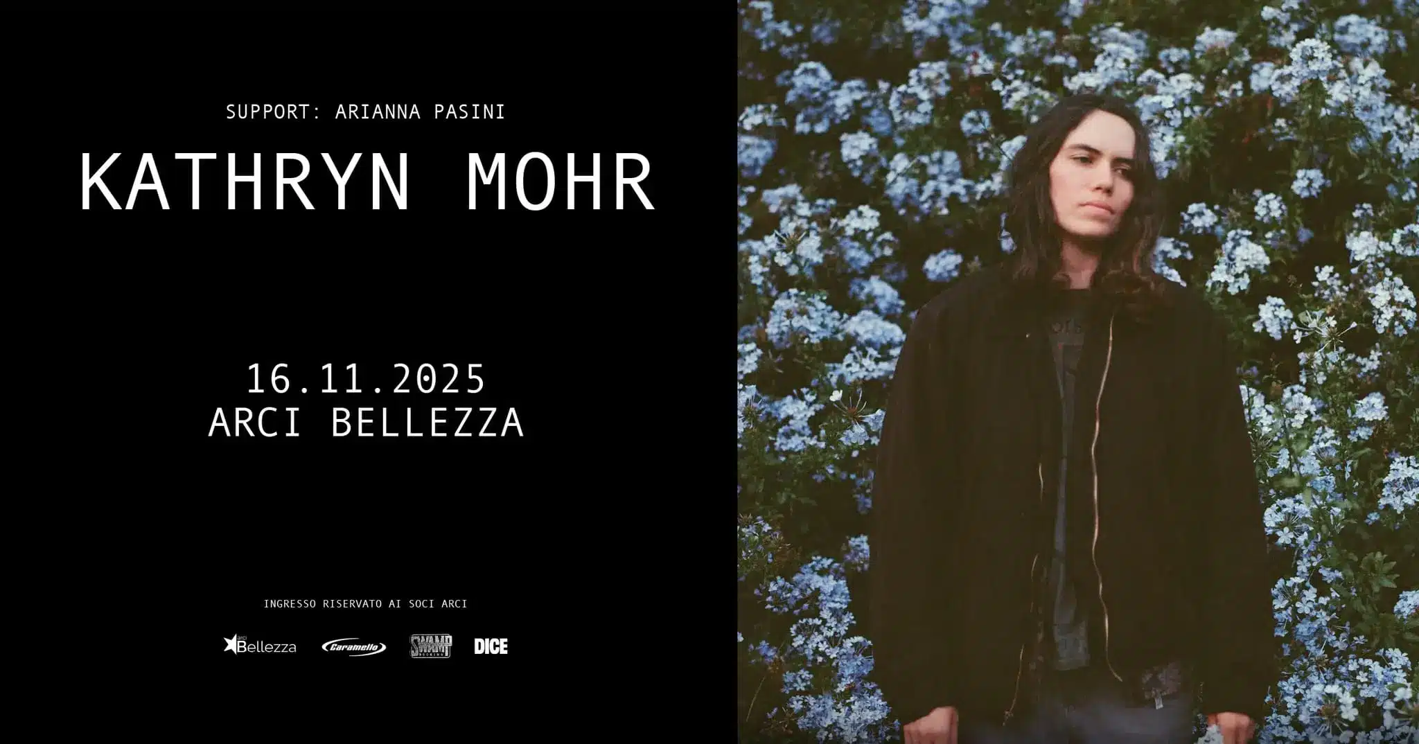 kathryn_mohr_live