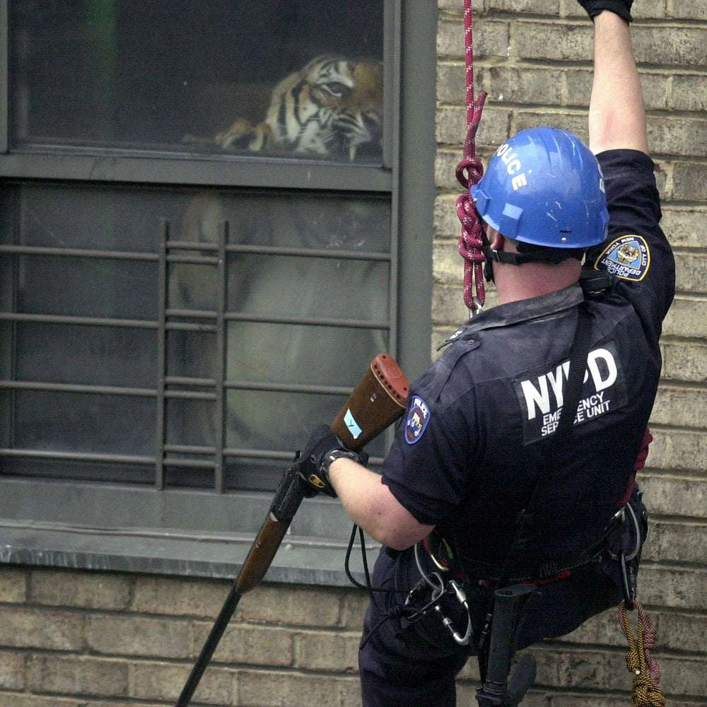 Armand Hammer – Shrines: Billy Woods strikes again