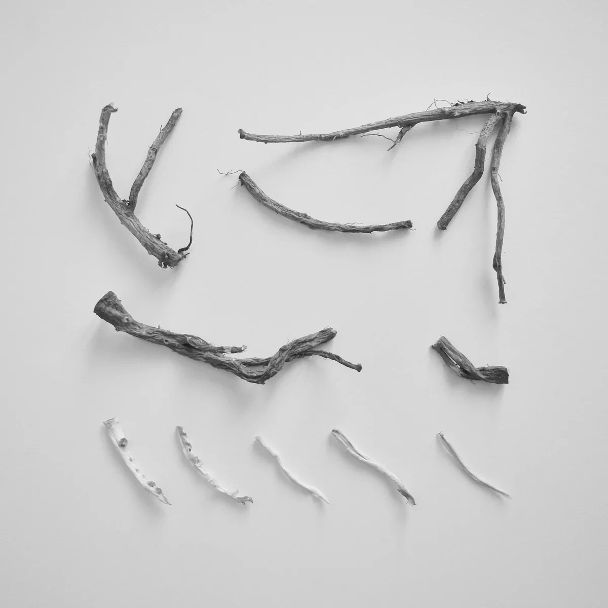 Richard Skelton – These charms may be sung over a wound