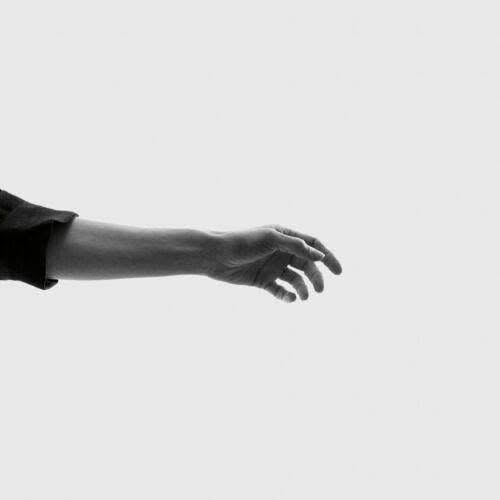 La Mappa Del 2022: Un Anno Al Femminile 19 fosyth limbs
