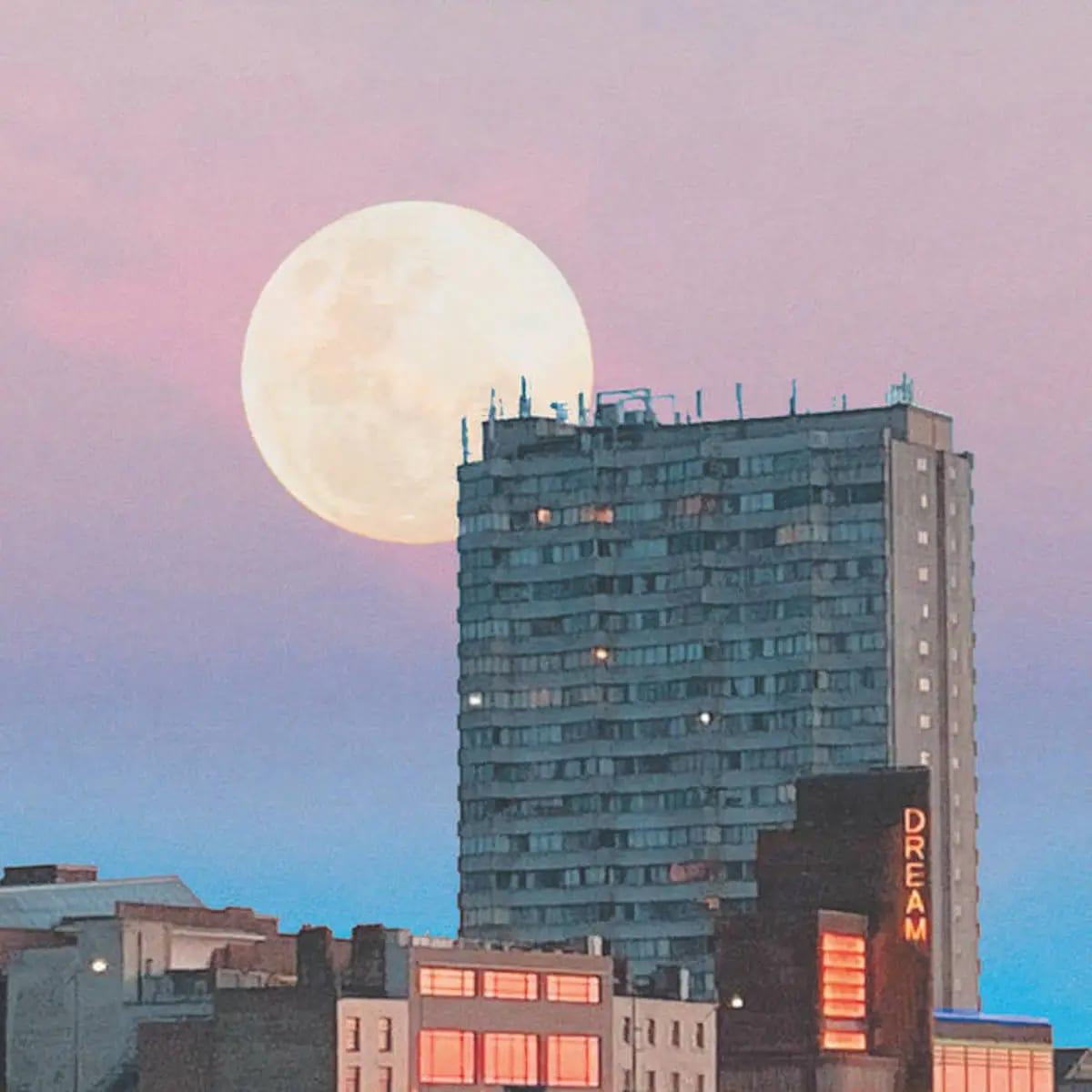 Pynch Howling At A Concrete Moon